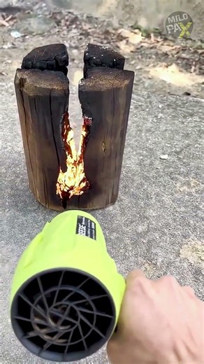 Mini Jet Blower Power in Action 💨🌿