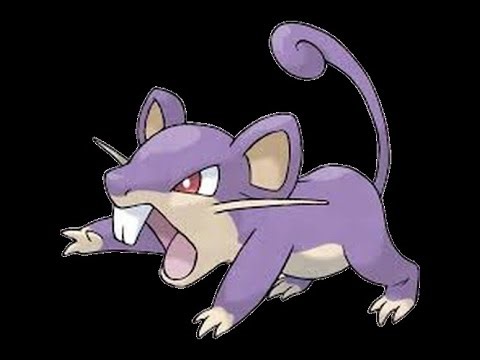 Top Percentage (Rattata's Song) | Pokemon | (SUNO) | (AI)
