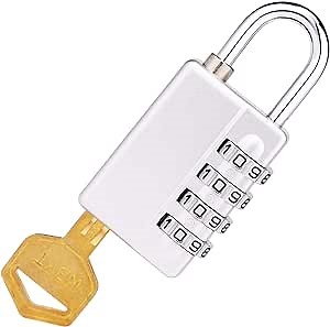 Combination Padlock, 4 Digit Resettable Security with Master Key, Waterproof, Silver
