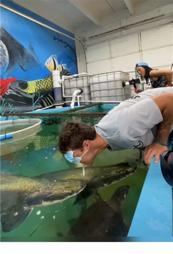 Fish 🐟 #funny #fish #fail #fishing #fyp | fish videos