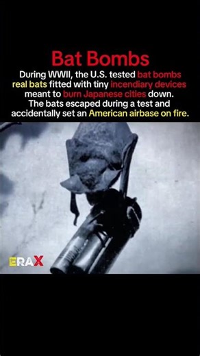 When Bats Became Bombs