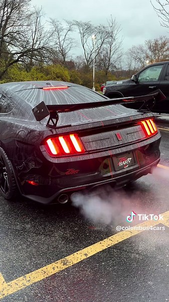 GT350R Cold Start & Voodoo V8 Revs