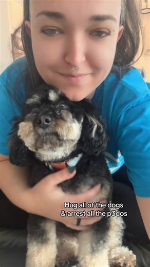 Simple life 💕 #rescuedog #cavapoo #dogsoftiktok #fdt