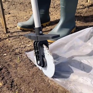 832K views · 213 reactions | Planting tips for your garden  | 5-Minute Crafts GIRLY | Facebook