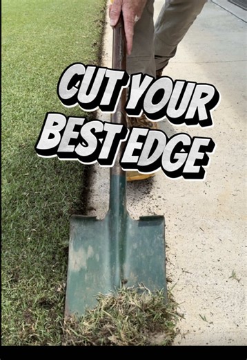 Mastering Lawn Care: Edging vs. Line Trimming Techniques