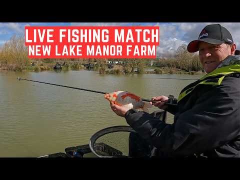Live Fishing Match Manor Farm Swilland IP6 9LB, #matchfishinguk