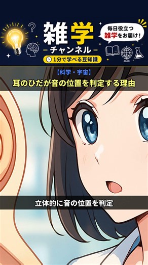 【雑学タイム】耳のひだが音の位置を判定する理由