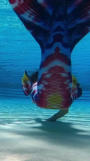 Exploring the Majestic Mermaid World with Fin Fun Elite