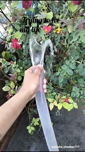 Trying to fix my life 💖 || Manisha Chauhan || #shorts #ytshorts #trending #dailylife