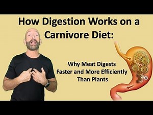 How Digestion Works on a Carnivore Diet: Why Meat Digests Faster and More Efficiently Than Plants