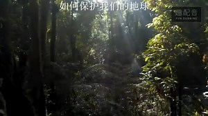 自然环保短片《如何保护我们的地球》：自然与人类和谐共生的解决之道你了解吗？