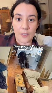 125K views · 708 reactions | If you have a dog who is truly a danger,...