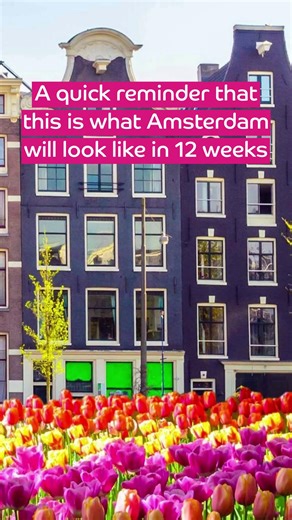 22K views · 118 reactions | Our Spring 2026 highlights: tulips as far as the eye can see, adults-only river cruising and not a single airport queue in sight  Join us aboard the 4-star MS Serenade 1 this April as we cruise through Holland, catching its famed bulbfields at their peak → https://ow.ly/JwoE50XR5Zi | Shearings Holidays | Facebook