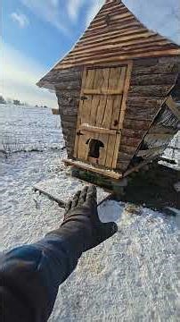 The COOP Is OPEN! #WhitttAcres #enjoynaturetoday #homesteadinglife