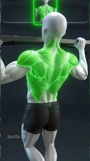 Pull-Up Progression for Beginners