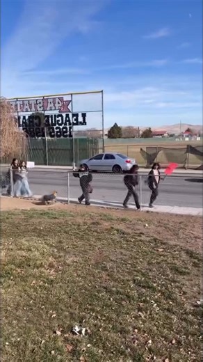 Our Town Reno on Instagram: "A neighbor to Wooster and her dog cheering on the anti ICE high school protest today in Reno. « I want to remain anonymous but my grandma told me to post this … there was kids protesting by her house and my grandma is proud of these kids… » #renoprotest #renoactivism sound on for full effect"