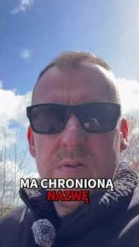 Co zjeść w Kornwalii i czego unikać?