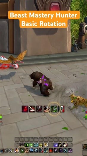 Basic Beast Mastery Hunter Rotation in 60 Seconds #foryou #midnight #worldofwarcraft