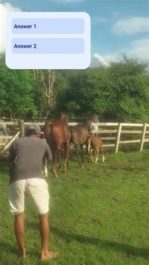 Horse love in nature