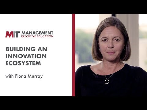 Building an Innovation Ecosystem | MIT Sloan on Business Strategy