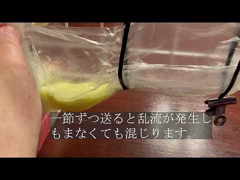 腸蠕動分節運動実験