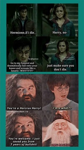 Harry’s Dark Truth EXPOSED 😂 | Hagrid Said It Too Soon 💀 #HarryPotter #FunnyMeme #harrypotter