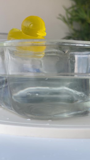 Lemon Jello Jelly Ducky Recipe | Fun and Easy Dessert