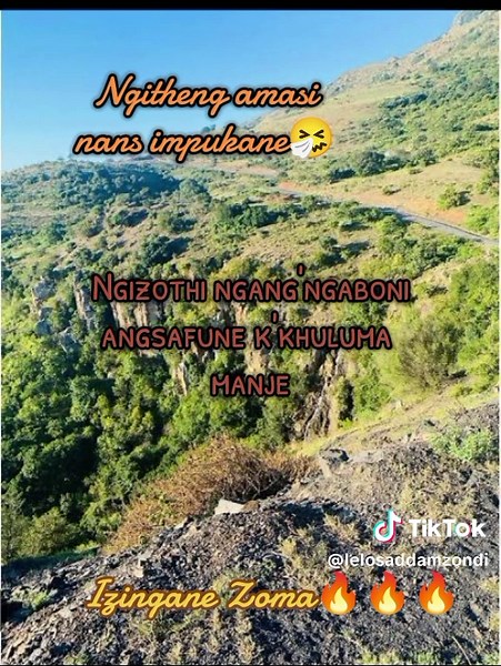 Izingane Zoma: Impukan Eyongthinta Nezinkumbulo