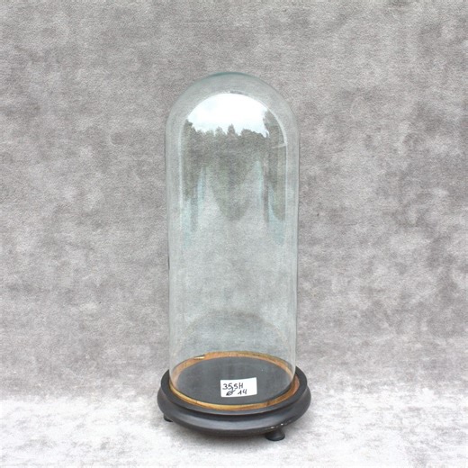 Antique French Round Glass Dome 13.98 X 5.51 Inch Bell Jar 35 X 14,5 Cm Hand Blown + Black Wooden Base Victorian Era Taxidermy Display - Etsy