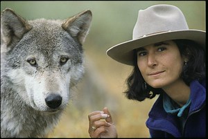 Annual David Genger Scientist-in-Residence Day Will Bring Living with Wolves to LFCDS