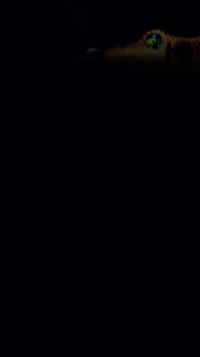 The Sonic Boom 🐸💥 Soft body. Loud presence. Explosive strikes. Fred Roumbanis designed it to dominate heavy cover 🔥 https://www.baits.com/sonic-boom/ #frogfactory #sonicboom #frog | Frog Factory