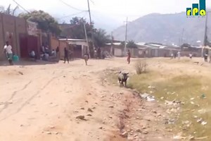 #Amakuru. Abanegihugu Baba Zone Ya Kanyosha Commune #Muha Barageramiwe N’Abapolisi Hamwe N'Imbonerakure ZA Evariste Ndayishimiye Uduce Tugeramiwe ni Q.Kajiji Hamwe Na Q.Ruziba. Umviriza Abenegihugu Bavuganye Na R.P.A Ingene Basigura Neza Itotezwa Bakorerwe. Video&Audio 👇👇👇 | Amakuru Avugwa Mu Burundi