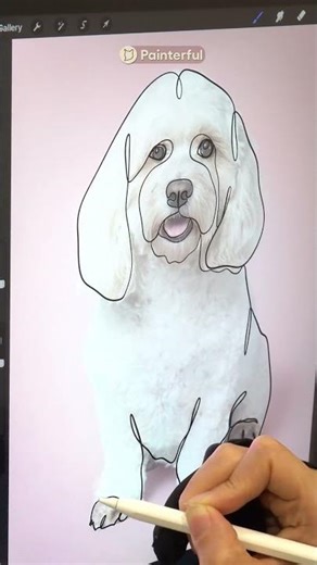 One line, one pet. The magic of continuous line art! ✨ #digitalart #lineart #illustration