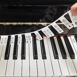 Removable Piano Keyboard Note Labels, Piano Key Music Notes Letter Label for Beginner Made of Silicone, Fits Study 88-key Full-Size Reusable Comes with Box （Classic Piano Color）