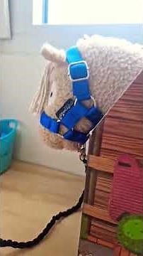 unbox my new crafty pony stuff with me💙