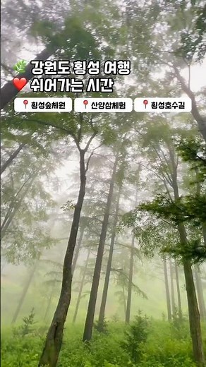 강원도 횡성 여름 여행 가볼만한 곳 best 3 숲체원, 산양삼체험, 횡성호수길 #횡성여행 #횡성가볼만한곳 #횡성실내가볼만한곳 #횡성아이와가볼만한곳
