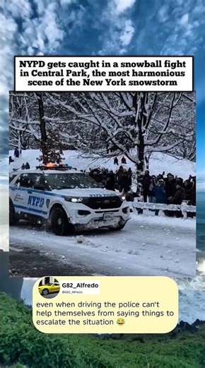 NYPD gets caught in a snowball fight in Central Park,