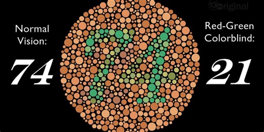 Moment of Science: Color Eyesight