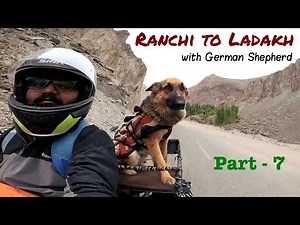 Ranchi to Ladakh | part 7 | Khardungla Pass | Travel with German Shepherd