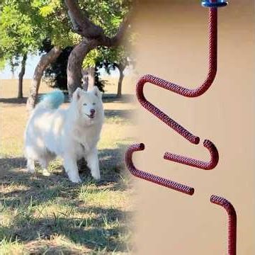 #humor #virat #funny #obra#viral #foryou