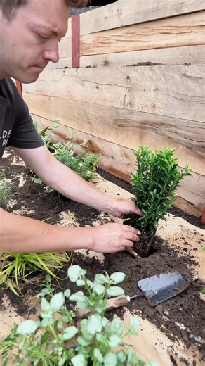 Big garden? Small border? Multi-level layout? No problem⁠ ⁠ Garden on a Roll works in all kinds of spaces – the process stays the same:⁠ ⁠ 📄 Lay the template⁠ 🌱 Plant the labelled plants⁠ ✅ Done⁠ ⁠ Here’s a recent multi-tiered garden we helped transform – proof that it works anywhere!⁠ ⁠ #GardenOnARoll #TieredGarden #EasyGardening #GardenTransformation #AllGardenSizes | Garden on a Roll