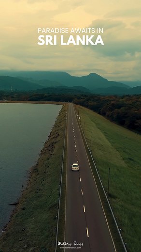 Discover Sri Lanka like never before, where nature, history, culture, and adventure come together in the most extraordinary way. At Walkers Tours, we specialise in creating unique, tailor-made experiences for you. Let us be a part of your next unforgettable journey! #walkerstours #travelwithwalkerstours #visitsrilanka #comebackformore #Youwillcomebackformore #exploresrilanka #srilanka #winter #winterseason #getaway #holiday #vacation #vacationinsrilanka #srilankavideo #srilankatrip #srilankatrav