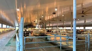 5.9K views · 121 reactions | Mike Tschetter is a GEA super fan. His 240 cow dairy farm is equipped with 4 GEA Monobox Milking Robots, a GEA XPress manure separator which works awsome, GEA Feed Pusher FRone, GEA cow brushes, SW cable drive unit and alley scraper cleaning system as well as pumps and agitators. Thanks Mike for sharing your pictures! Click to learn more about GEA Dairy Farming https://www.gea.com/en/applications/dairy_farming/index.jsp | GEA Farming | Facebook