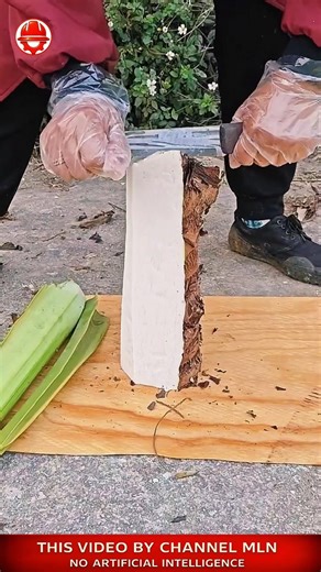 WHITE CORE 🤍manual peeling process 🪵#shorts #crafts #skills #handwork