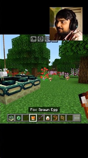 fox vs chicken 😂 in Minecraft PE #minecraft #trending #shorts