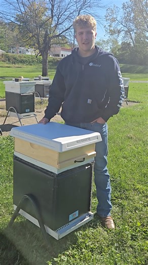 Help get your hive ready for Winter with Dadant & Sons #beekeeping #winter #bees