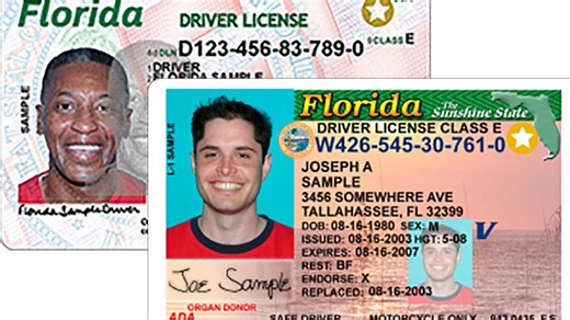 Want a Florida learner's permit? Take this course before July 1 to avoid new requirement