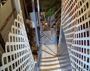 Belize Live News on Reels