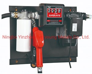 [Hot Item] Diesel Fuel Transfer Pump Kit with Filter Flow Meter Fixed Fuel Refilling Unit