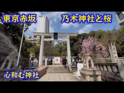 【東京赤坂 乃木神社⛩️と桜🌸】 心和む神社